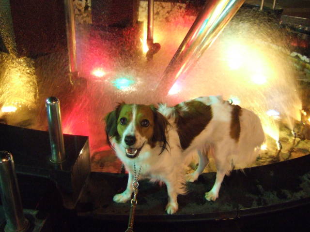 c0075585_0382589.jpg
