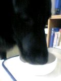 c0040702_14364826.jpg