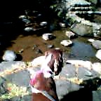 a0040103_22423972.jpg