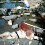 a0040103_2243041.jpg