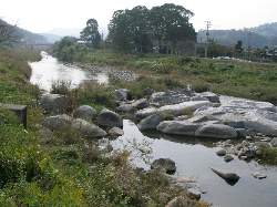 c0036203_190736.jpg