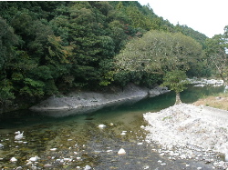 c0036203_19182737.jpg
