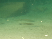 c0036203_1918436.jpg