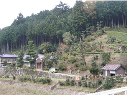 c0036203_19243821.jpg