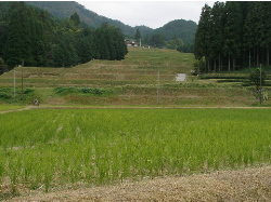 c0036203_19245980.jpg
