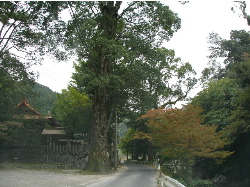 c0036203_193434100.jpg