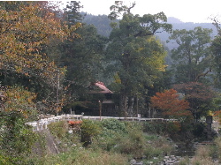 c0036203_19344858.jpg