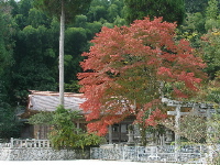 c0036203_19475981.jpg