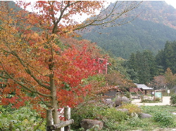 c0036203_21114498.jpg