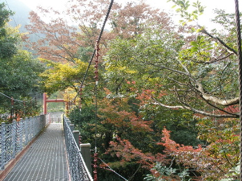 c0036203_21182413.jpg