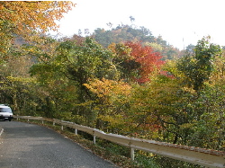 c0036203_2129783.jpg