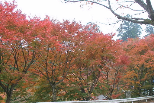 c0036203_21323310.jpg