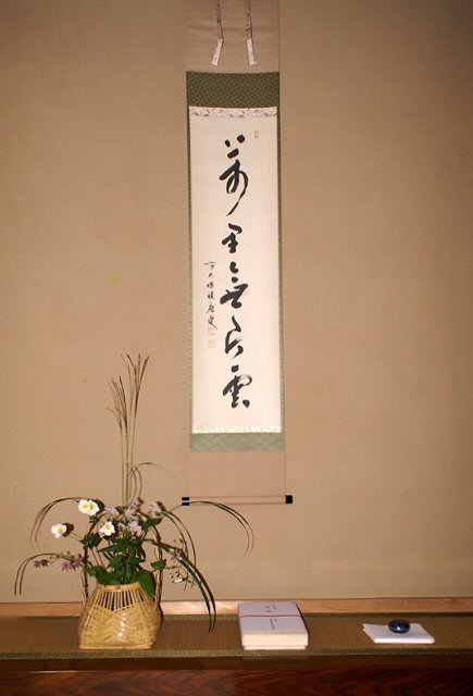 大円の草 風炉 野草デジカメ日記