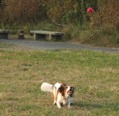 c0065512_1482917.jpg