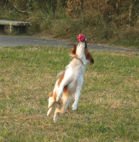 c0065512_1484941.jpg