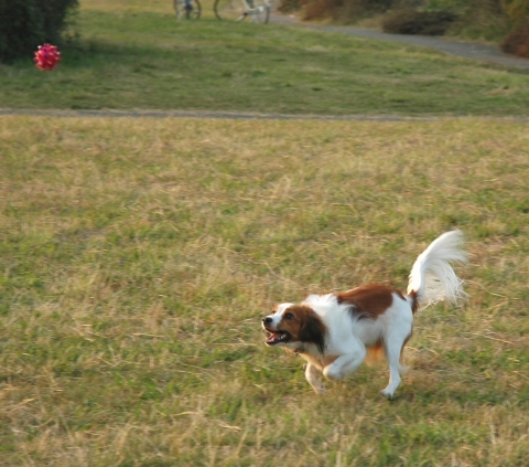 c0065512_152869.jpg