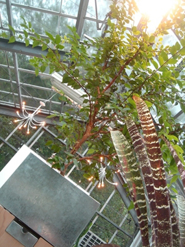 d0063314_2193627.jpg