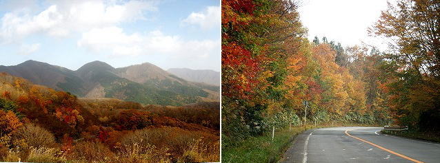 お山の紅葉_e0072023_21475516.jpg