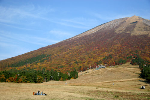 大山の紅葉_d0036630_2130713.jpg