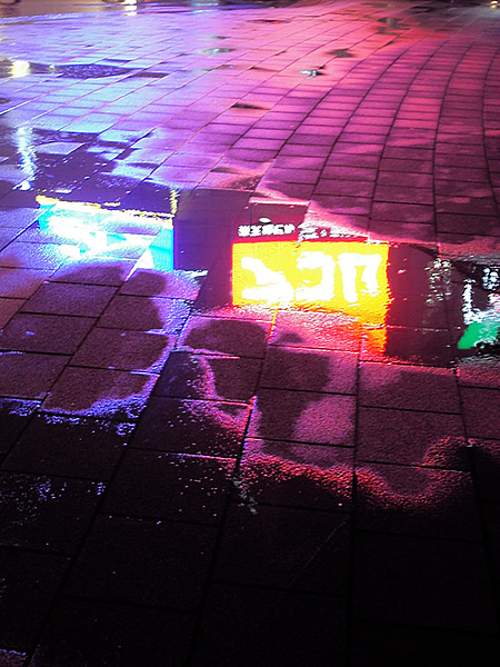 b0063234_01783.jpg