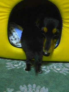 e0063136_1373929.jpg