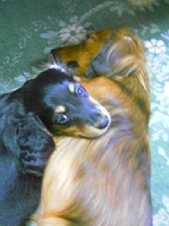 e0063136_150552.jpg