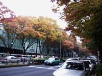＊プロ　ということ＊　　2005,11,6_a0030038_224119100.jpg