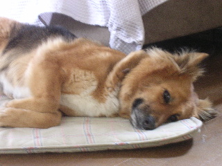 c0065643_0212389.jpg