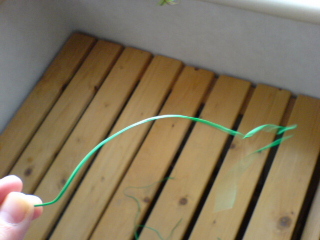 c0065643_22471535.jpg