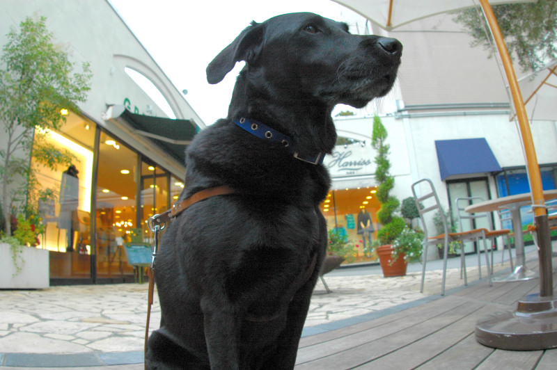 c0039145_21351524.jpg