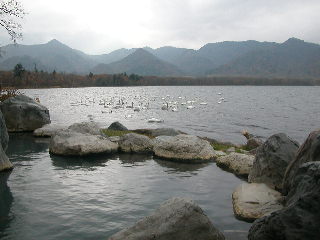 e0004756_20215071.jpg
