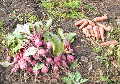 e0004756_20342327.jpg