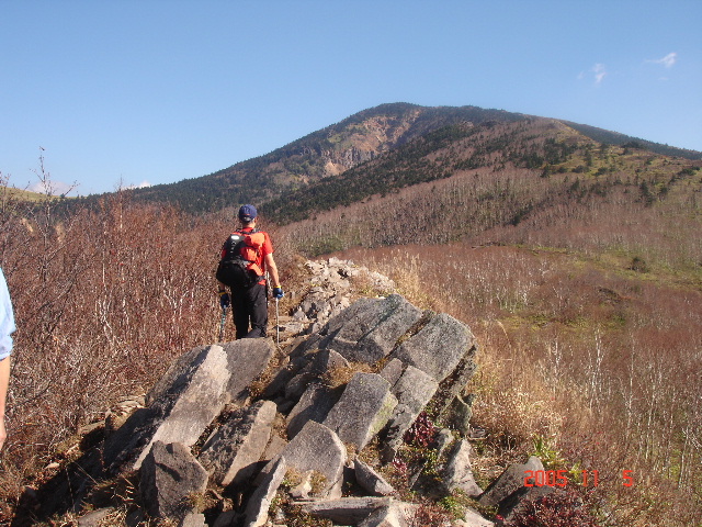 四阿山（あずまやさん）・根子岳を歩く_d0032262_13392071.jpg