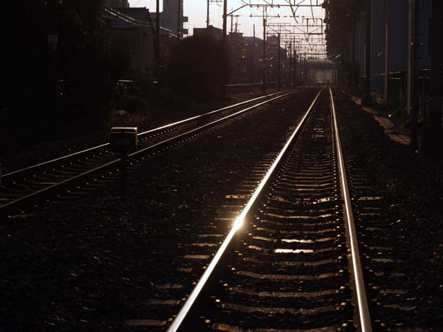 e0019563_11561914.jpg