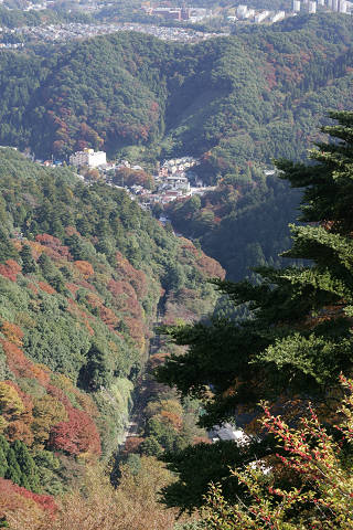 高尾山の紅葉も進んでいる（11月7日）_c0057265_2226485.jpg