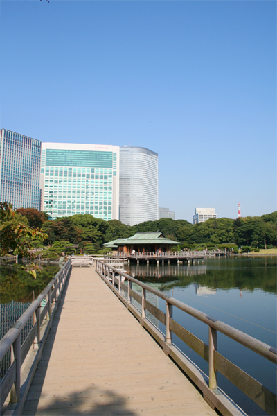 浜離宮恩賜庭園_a0058669_263948.jpg