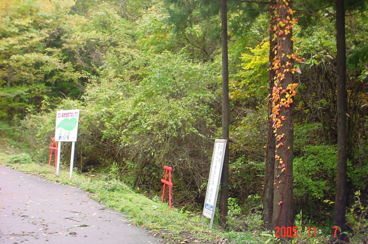 今日の川内村_d0027486_17422893.jpg