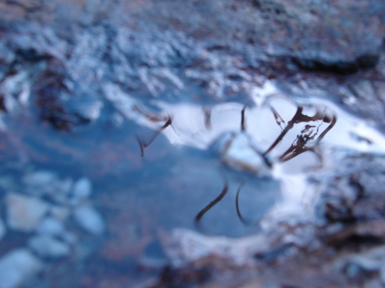 e0005887_21294232.jpg