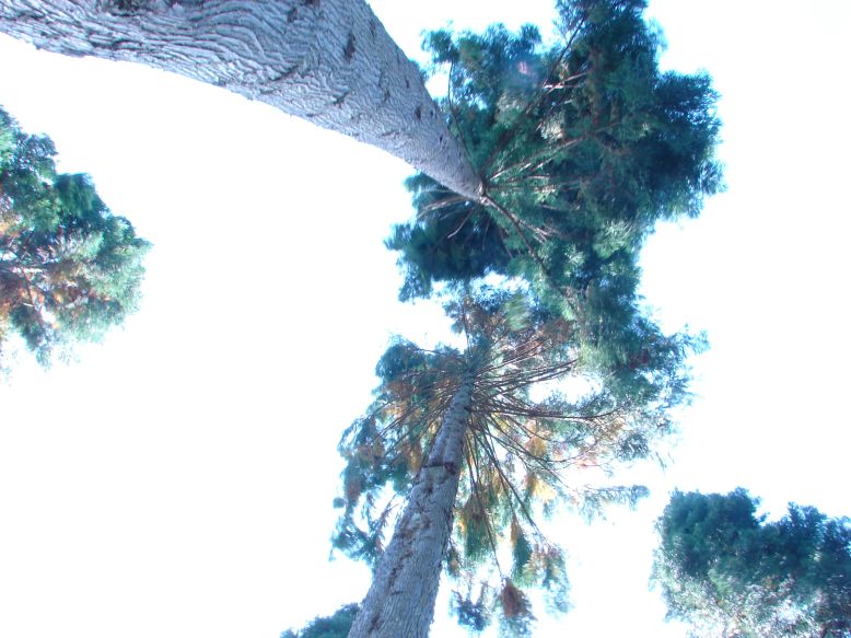 e0005887_2130816.jpg