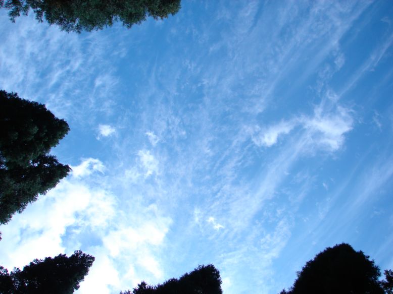 e0005887_21345276.jpg