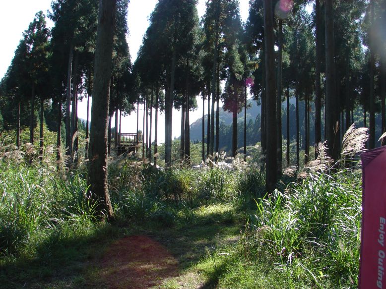 e0005887_2145432.jpg