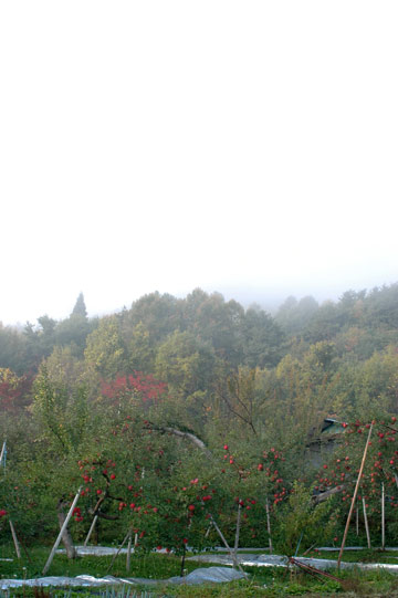 e0017393_23561394.jpg
