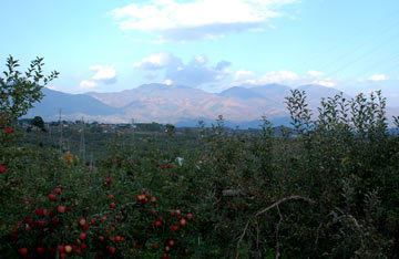 e0017393_235839.jpg
