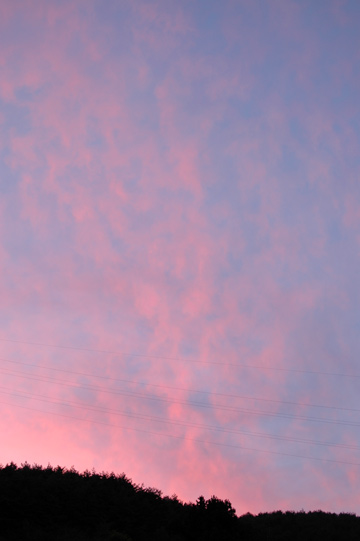 e0017393_23595775.jpg