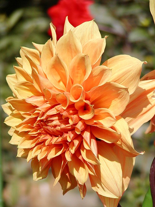 a0009600_2244046.jpg