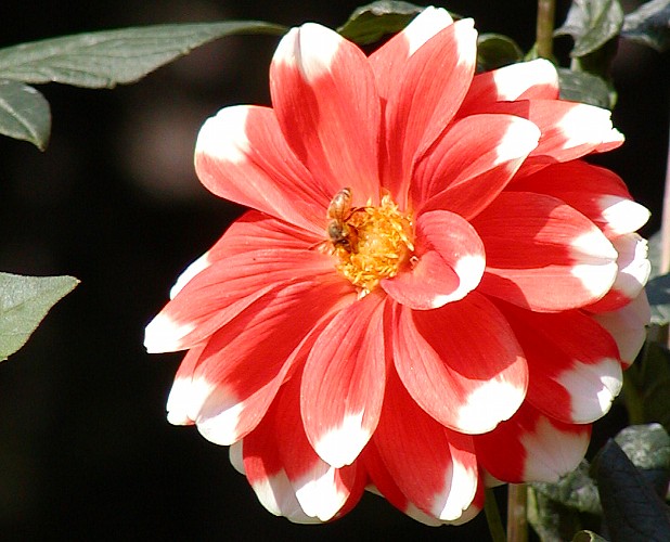 a0009600_2254229.jpg