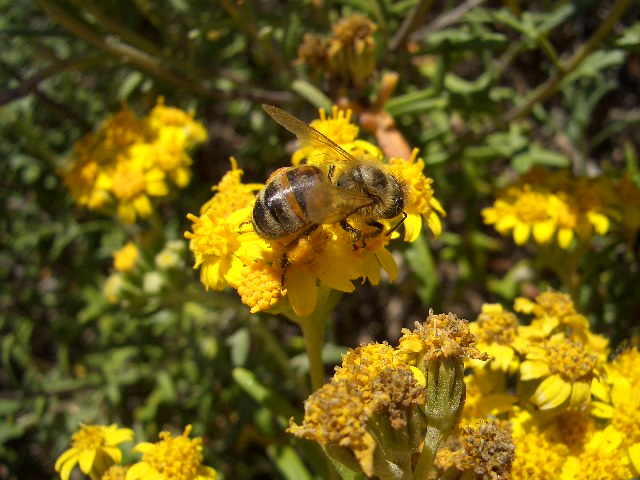 a0062203_1415103.jpg