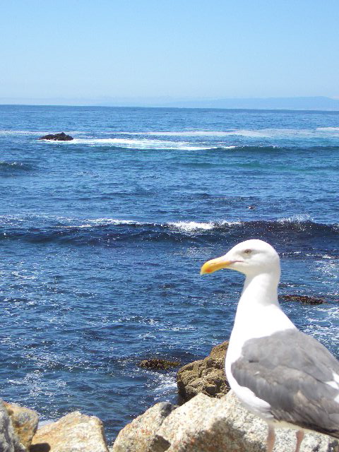 a0062203_145224.jpg