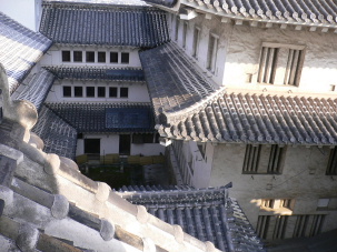 d0062009_7175276.jpg