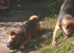 d0062009_7423364.jpg